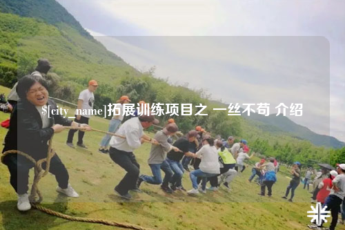 常德拓展训练项目之 一丝不苟 介绍